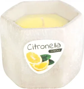 Repelentná sviečka Citronella v cementovej nádobke 85 g – proti komárom, dekoratívna