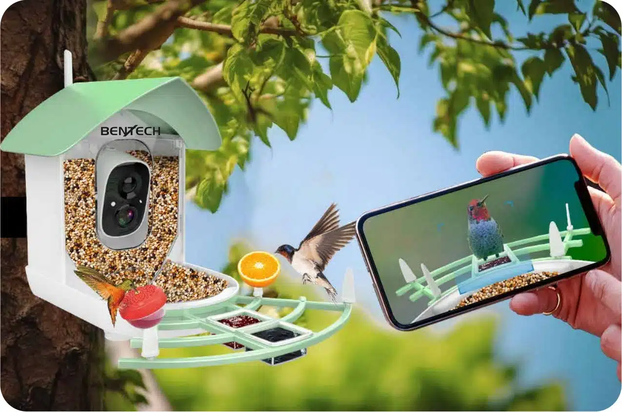 Vtáčia búdka s kamerou Bentech BF01 – Pozorujte svet vtákov v 1080p Full HD – Obrázok 5